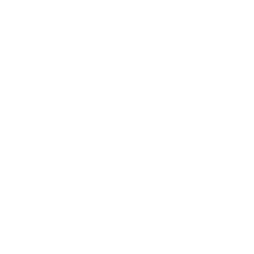 erp icon